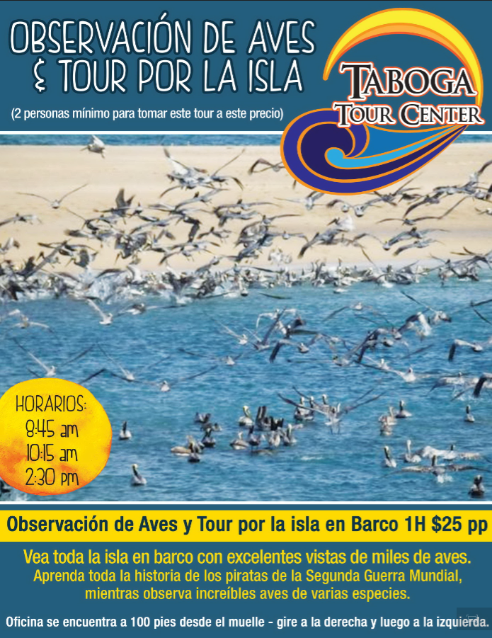 Observacion de aves y tour isla